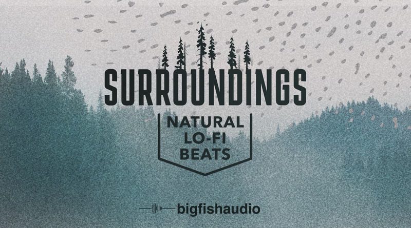 Surroundings: Natural Lo-fi Beats by Big Fish Audio